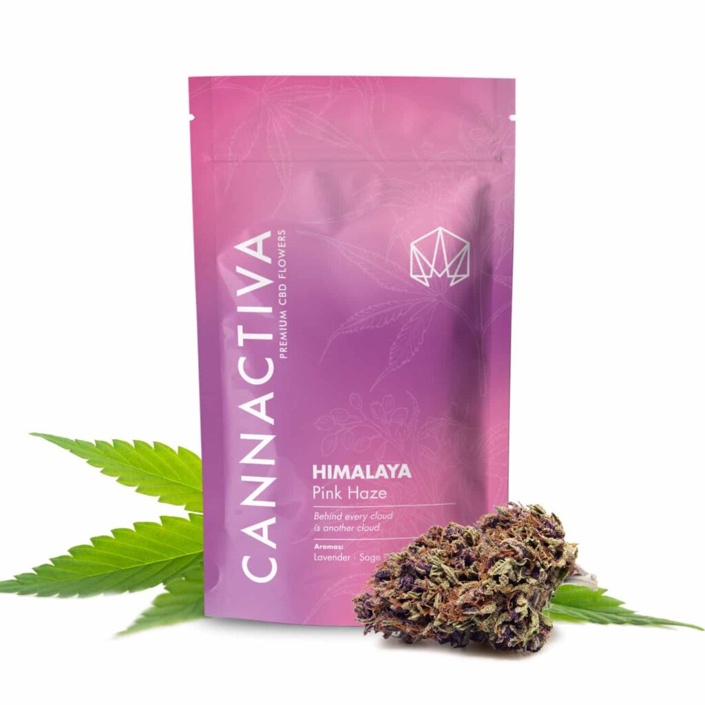 CBD FLOWERS HIMALAYA (Pink Haze) 2g