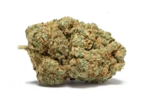 CBD FLOWERS SOUR DIESEL